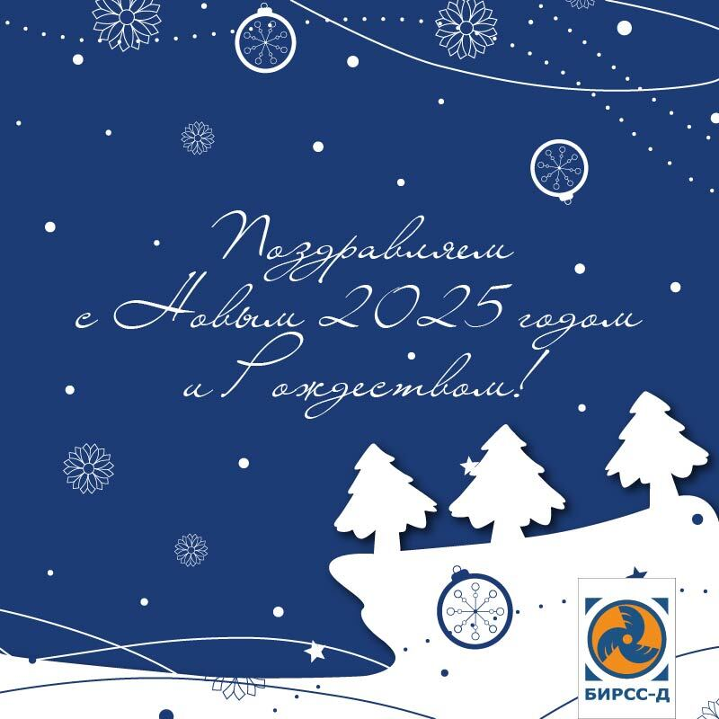 С новым 2025 годом!